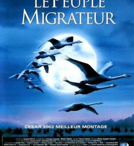 K434鸟的迁徙 WINGED MIGRATION 2002年奥斯卡最佳记录片提名/鸟与梦飞行