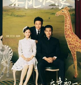 J312乘风破浪 （2017）