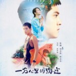 K331 一万公里的约定 2016 台湾 豆瓣评分4.6