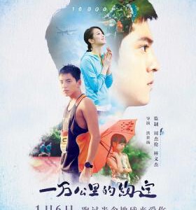 K331 一万公里的约定 2016 台湾 豆瓣评分4.6