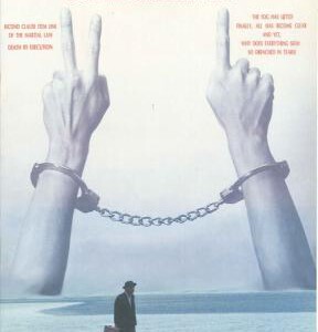 J546 超级大国民 1995 经典数字修复 豆瓣评分8.1