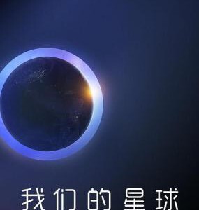 U433-434我们的星球/我们的天与地 2019 评分9.8 2碟装
