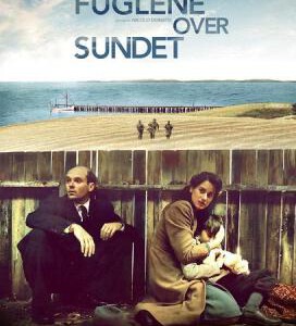 J303轰鸣中的鸟儿(“二战”战争题材最新大作)FUGLENE OVER SUNDET (2016)