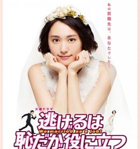 J315逃避虽可耻但有用/雇佣妻子(港) / 月薪娇妻(台) 逃げるは恥だが役に立つ (2016)