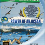 R557探索频道之赤道系列.海洋的力量 EQUATOR-POWER OF AN OCEAN