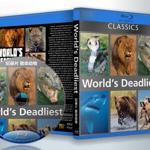 R400纪录片：致命动物 HDTV高清版+官方国语声轨+官方中文字幕 不支持PS3 PS4