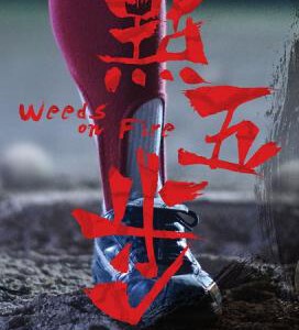 R310点五步（2016)