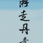 F544-545游走丹青 2碟《双碟完整版》