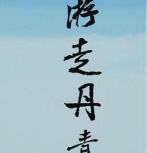 F544-545游走丹青 2碟《双碟完整版》