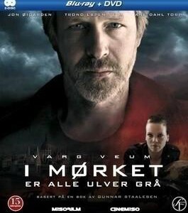 K030暗夜灰狼 2011年上映的犯罪动作/冒险