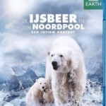 K032  BBC 北极熊冰上间谍