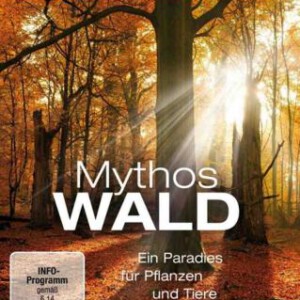 K040神话的森林 英简繁特效字幕