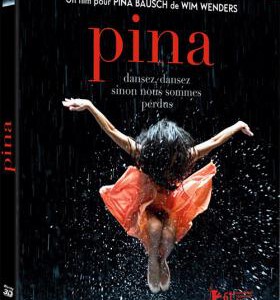 K082皮娜3D 2D+3D PINA IN