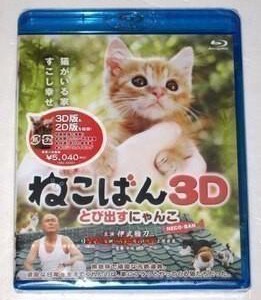 J051小猫跳出来3D