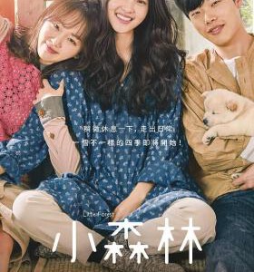 U468小森林 2018 评分7.3