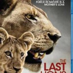 J103最后的狮子 国家地理出品2011年获奖纪录大片