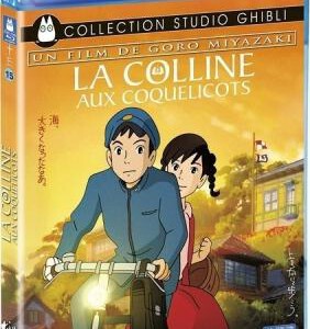 P026虞美人盛开的山坡