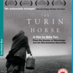 N070都灵之马/都灵马 影片入围第61届柏林电影节竞赛单