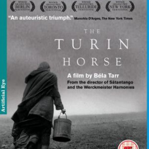 N070都灵之马/都灵马 影片入围第61届柏林电影节竞赛单