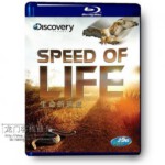 N079探索频道：生命的速度 本片中观众将通过高速摄像机了解惊人的动物和昆虫世界