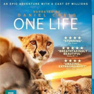 M023地球生灵 由BBC精心打造2011记录精品