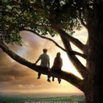 M057怦然心动 FLIPPED (2010) 豆瓣9.0