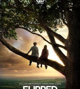 M057怦然心动 FLIPPED (2010) 豆瓣9.0