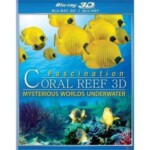 J123珊瑚礁的魅力 2D+3D