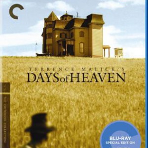 P147天堂之日 欧美经典爱情片 公认佳作