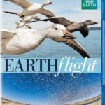 P138-139   BBC鸟瞰地球 2碟