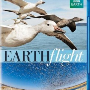 P138-139   BBC鸟瞰地球 2碟