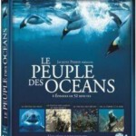 H043 BD50海洋王国 KINGDOM OF THE OCEANS