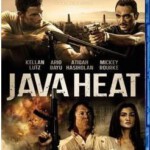 K229爪哇盗火线 2D+3D