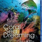 K158珊瑚海之梦、梦幻珊瑚海：唤醒 大型海洋美景纪录片推荐