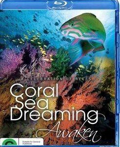 K158珊瑚海之梦、梦幻珊瑚海：唤醒 大型海洋美景纪录片推荐