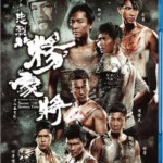 K215忠烈杨家将 一门忠烈杨家将/杨家将