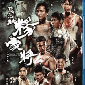 K215忠烈杨家将 一门忠烈杨家将/杨家将