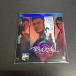 N203圣诞玫瑰 2013