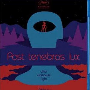 N134光之后 舐梦人 柳暗花明 POST TENEBRAS LUX