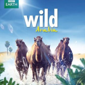 T220  BBC：狂野阿拉伯 (2013) 迪拜简直人间天堂纪录片/冒险