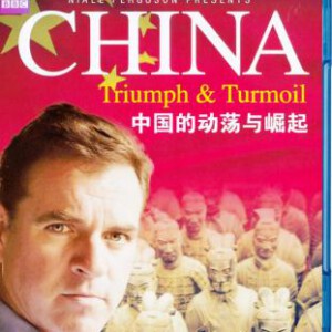 T223中国的动荡与崛起