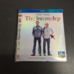 L203实习大叔 挨踢实习生/翻生求职党 THE INTERNSHIP