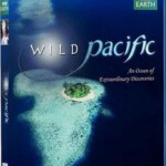 H201-202 BD50狂野太平洋/南太平洋 2碟 WILD PACIFIC