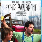 W043雪崩王子 2013最喜剧剧情片获第63届柏林国际电影节多项大奖