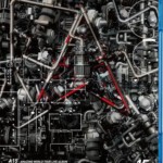 W246-247张惠妹世界巡回演唱会 跨世纪盛典 启程未来式 2碟（2013）AMEIZING WORLD TOUR LIVE ALBUM