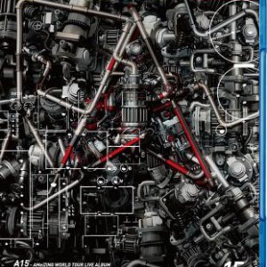 W246-247张惠妹世界巡回演唱会 跨世纪盛典 启程未来式 2碟(2013)AMEIZING WORLD TOUR LIVE ALBUM