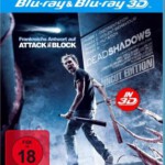 W055死亡阴影 3D+2D