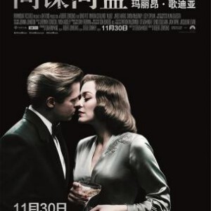 H320 BD50间谍同盟 2016 豆瓣6.9 ALLIED （2016）