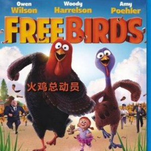 W142火鸡总动员 时光鸡大作战/火鸡/愤怒的火鸡/火鸡反击战/FREE BIRDS (2013)