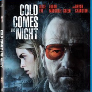 T047汽车旅馆疯劫案 COLD COMES THE NIGHT (2013)